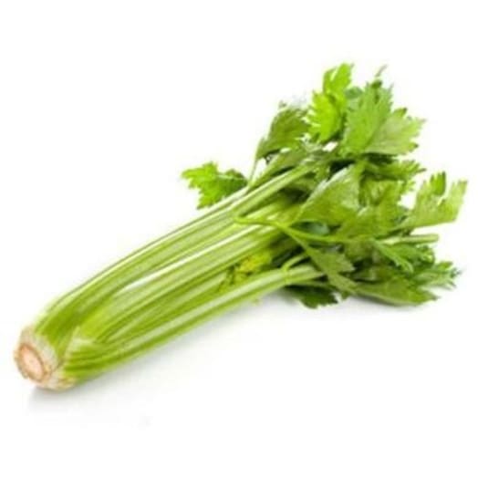 FRISCO FRESH Seler naciowy