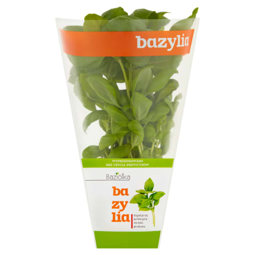 BAZIÓŁKA Bazylia
