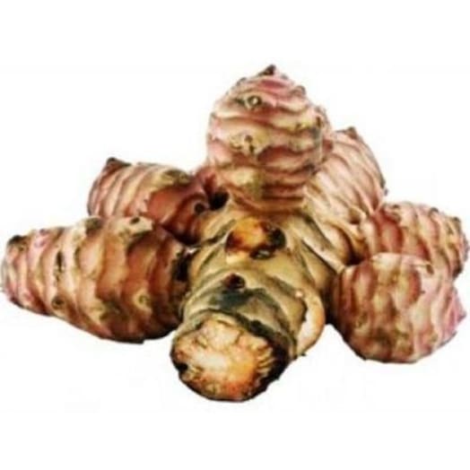 FRISCO FRESH Topinambur