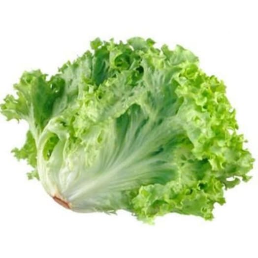 FRISCO FRESH Sałata karbowana zielona